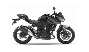 Z 400 19-21 (ER400D)