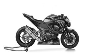 Z 800 13-16 (ZR800A ZR800B)
