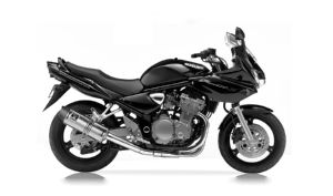 GSF 600 N BANDIT 01-04 (WVA8)