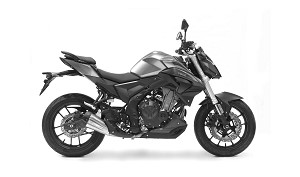 500 R (LX500-H)
