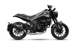 LEONCINO 250 15-22