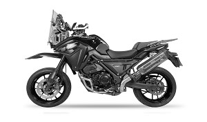 650 DS / DSX (R810C)