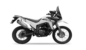 300 RALLY (LX300GY-G)