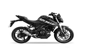 125 R (LX125-54)
